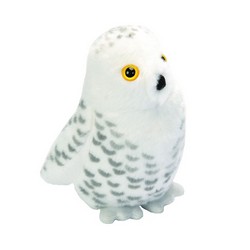 Snowy Owl (with sound)