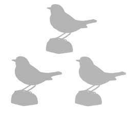 3 optional wooden birds