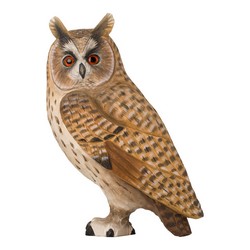 Long-eared Owl (wood)