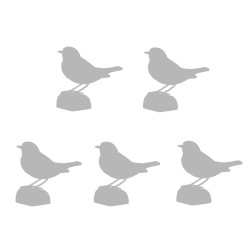 5 optional wooden birds