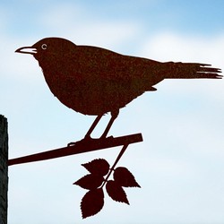 Blackbird (metal)