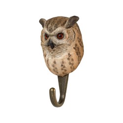 Hook (eagle-owl)