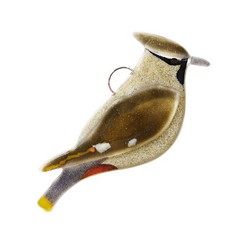 Waxwing (glass)